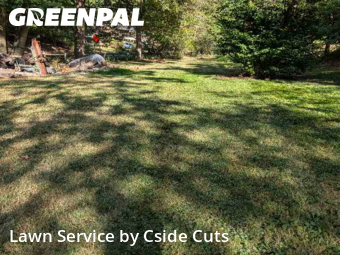 Grass Cutting nearby Pittsburgh, PA, 