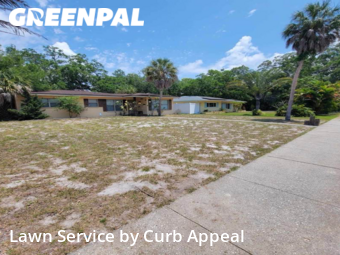 Lawn Cutting nearby Gulfport, FL, 
