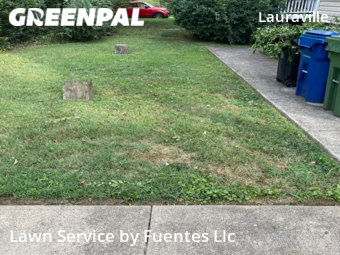 Yard Cutting nearby Baltimore, MD, 