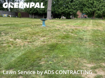 Lawn Care nearby Green Bay, WI, 