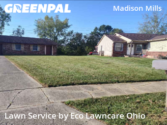 Lawn Services in Columbus, 43207, Yard Cutting by Eco Lawncare Ohio, work completed in Oct , 2025