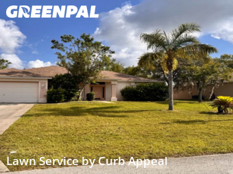 Lawn Cut nearby Spring Hill, FL, 