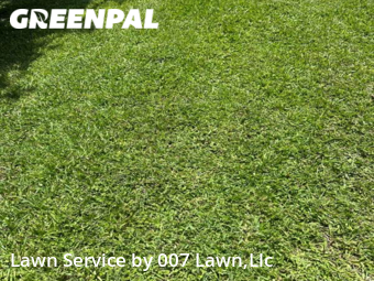 Lawn Maintenance nearby Lehigh Acres, FL, 