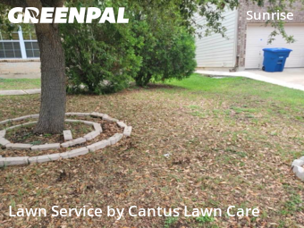 Lawn Care nearby San Antonio, TX, 