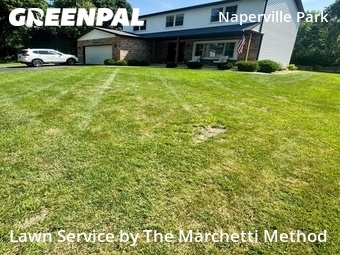 Lawn Maintenance nearby Naperville, IL, 