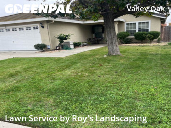 professional-lawn-care-service-in-Elk Grove-CA