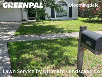 Lawn Maintenance in Bloomingdale, 33596, Lawn Care by Ultimate Landscape Co, work completed in Nov , 2025