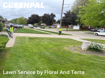 Lawn Cut nearby Warren, MI, 