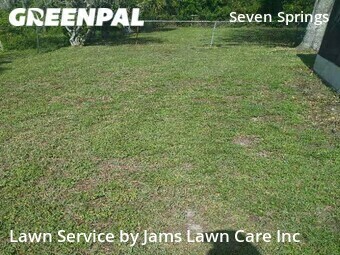 Yard Cutting nearby New Port Richey, FL, 