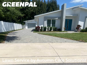 Grass Cut nearby Tampa, FL, 