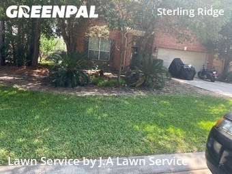 Yard Cuttingin The Woodlands,77382,Lawn Care by J.A Lawn Service, work completed in Nov , 2025