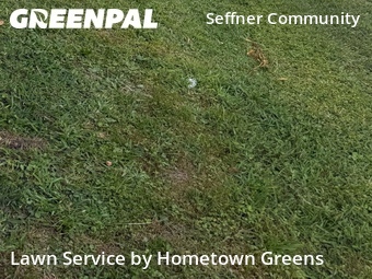Lawn Mow nearby Seffner, FL, 