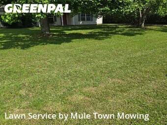 Lawn Service nearby Murfreesboro, TN, 