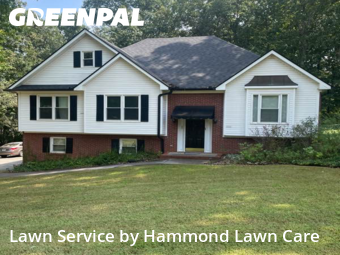 Backyard Mowing in Cartersville, 30120, Yard Upkeep by Hammond Lawn Care, work completed in Nov , 2025