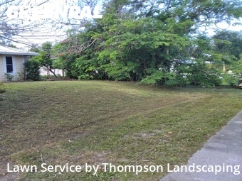 Grass Cutting nearby Palm City, FL, 