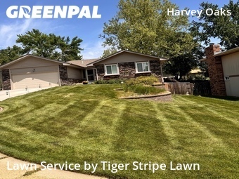 Lawn Mowing Service nearby Omaha, NE, 
