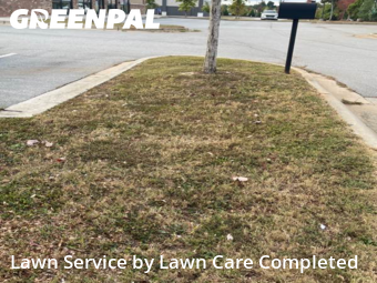 Grass Cutting nearby Mc Donough, GA, 