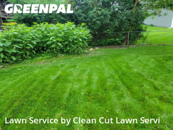 Lawn Cut nearby Elgin, IL, 