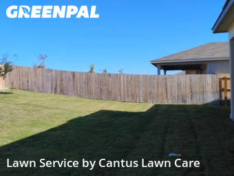 Lawn Maintenance nearby San Antonio, TX, 
