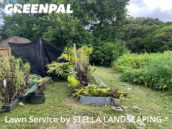 Lawn Mow nearby New Port Richey, FL, 