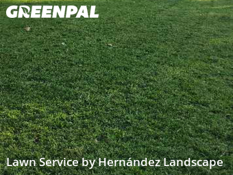 Property Maintenance in Lansdowne, 19050, Lawn Upkeep by Hernández Landscape, work completed in Dec , 2025