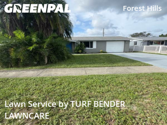 Lawn Cut nearby Holiday, FL, 