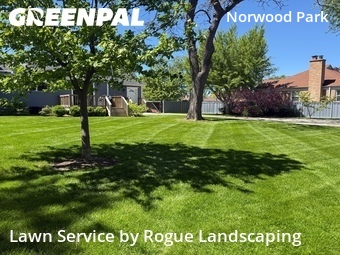 Lawn Cut nearby Chicago, IL, 