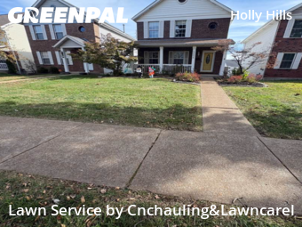 Yard Grooming in St. Louis, 63116, Lawn Management by Cnchauling&Lawncarel, work completed in Nov , 2025
