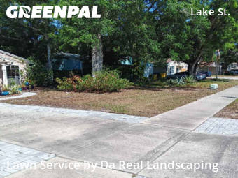 Lawn Mow nearby Palm Harbor, FL, 