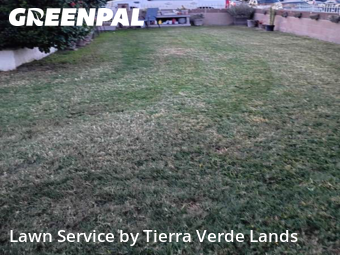 Work completed by local-landscaping-services-in-Downey-CA