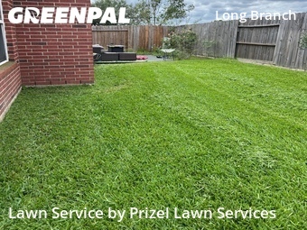 Grass Cuttingin Missouri City,77459,Grass Cutting by Prizel Lawn Services, work completed in Jul , 2026