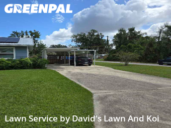 Lawn Cutting in Eustis, 32726, Yard Grooming by David's Lawn And Koi, work completed in Oct , 2025
