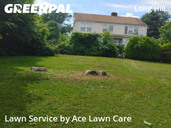 Property Maintenance in Trumbull, 6611, Yard Care Services by Ace Lawn Care, work completed in Nov , 2025