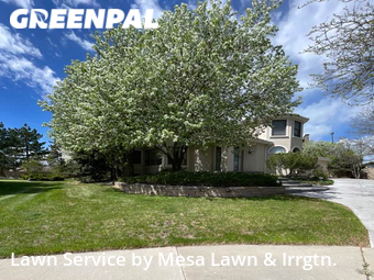 Yard Mowing nearby Denver, CO, 