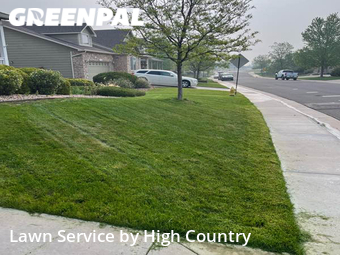 Lawn Service nearby Thornton, CO, 
