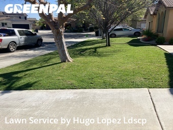 Lawn Cut nearby Winchester, CA, 