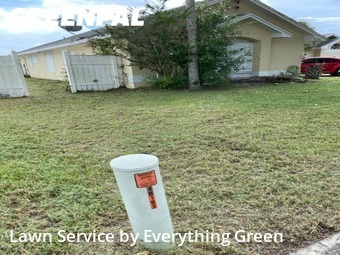 Lawn Mow nearby Orlando, FL, 
