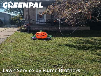 Lawn Maintenance nearby Roseville, MI, 