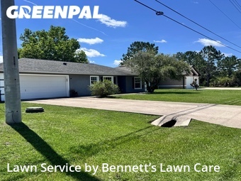 Grass Cut nearby Palm Coast, FL, 