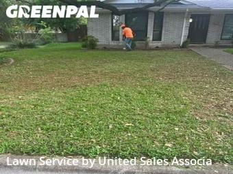 Grass Cut nearby Temple, TX, 