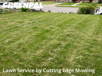Lawn Care nearby Kansas City, MO, 