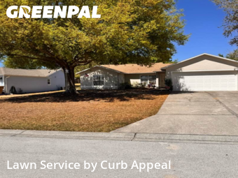 Grass Cut nearby Clermont, FL, 