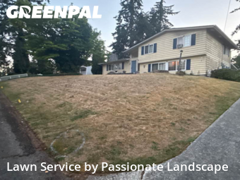 Yard Upkeep in Lacey, 98503, Yard Mowing by Passionate Landscape, work completed in Nov , 2025