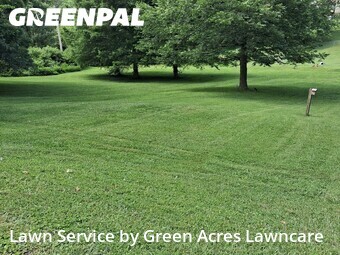 Lawn Mow nearby Kingsport, TN, 
