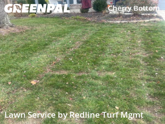 Yard Care in Columbus, 43230, Yard Cutting by Redline Turf Mgmt, work completed in Dec , 2025