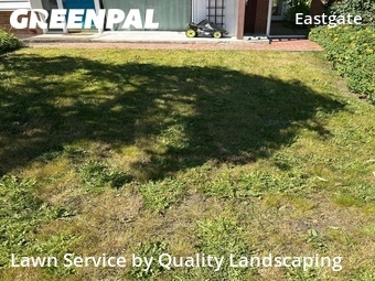 Lawn mowed in Bellevue, 98006