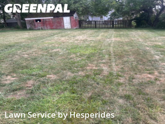 Yard Mowing nearby Homestead, PA, 