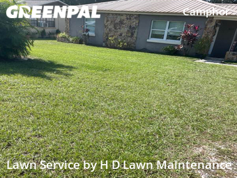 Grass Cut nearby Lakeland, FL, 