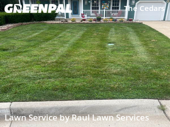 Grass Cutting nearby Lenexa, KS, 
