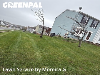 Lawn Care nearby Baltimore, MD, 